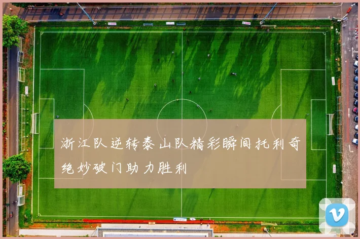 浙江队逆转泰山队精彩瞬间托利奇绝妙破门助力胜利
